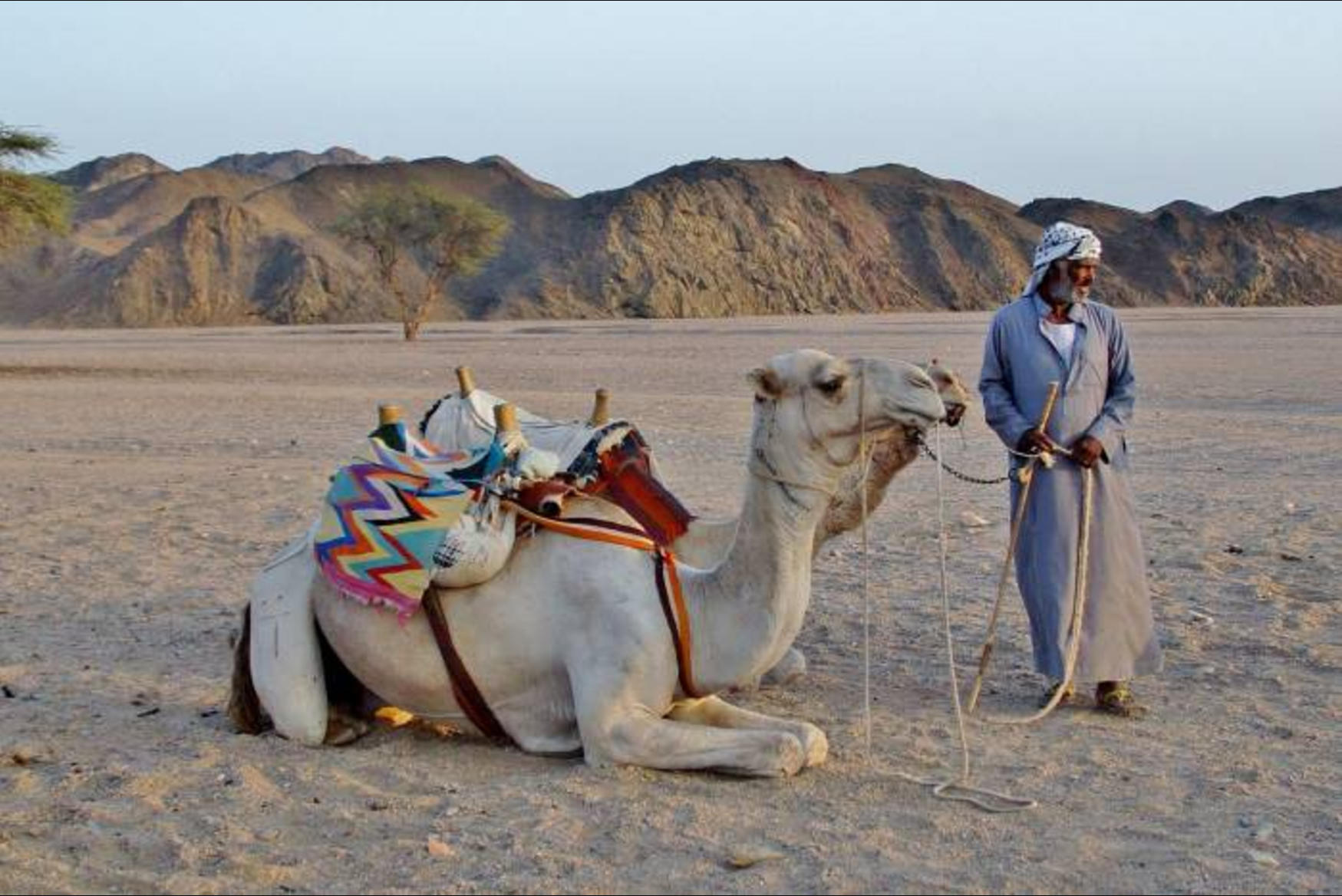 The Modern Influence of Arabic Art, Poetry and Literature
