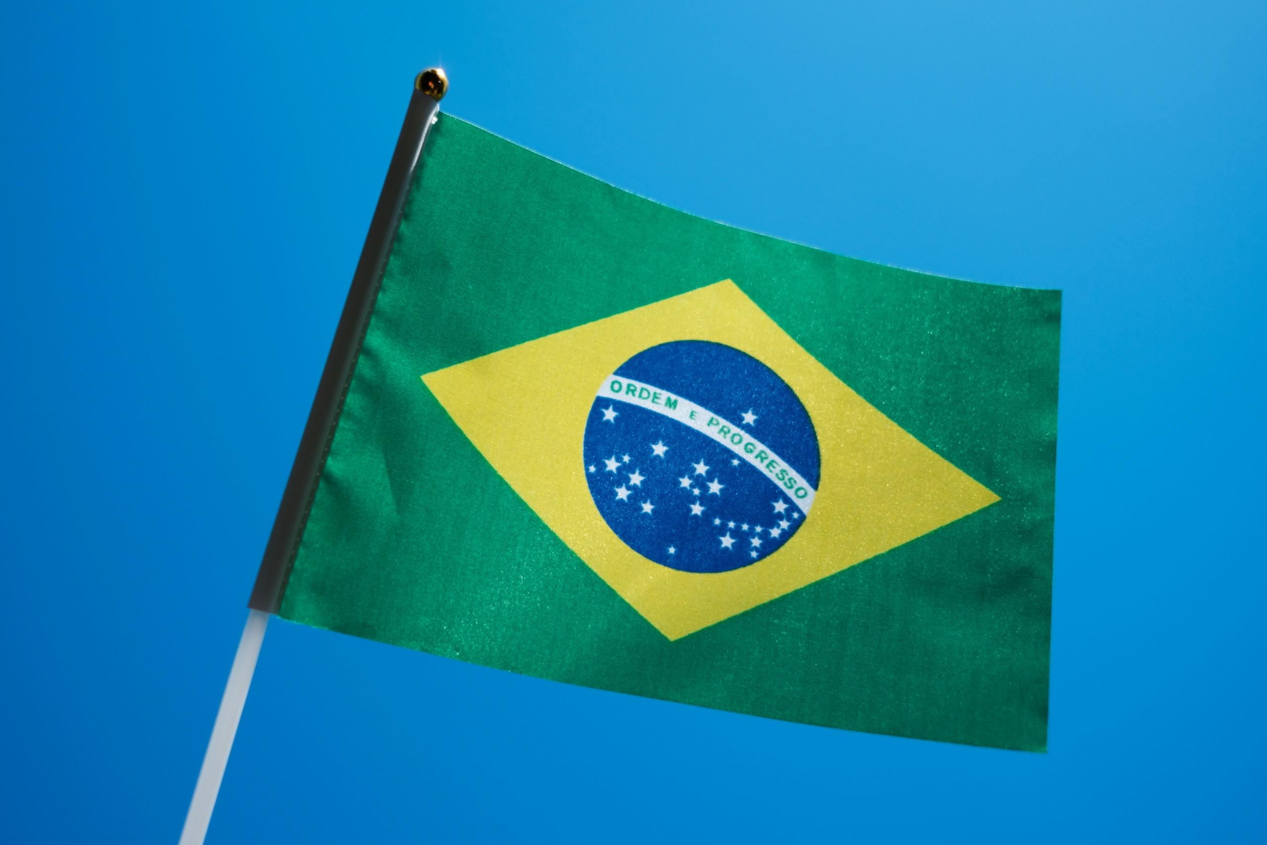 Brazilian Flag